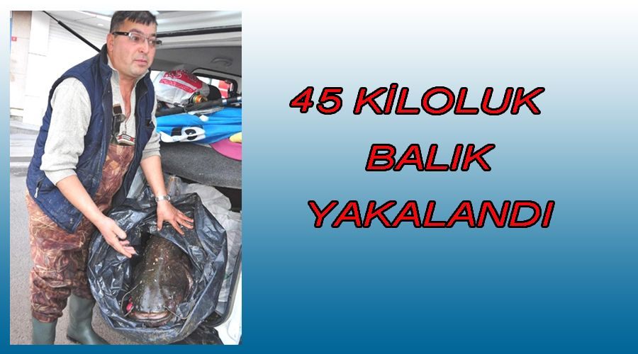 45 kiloluk balık yakalandı 
