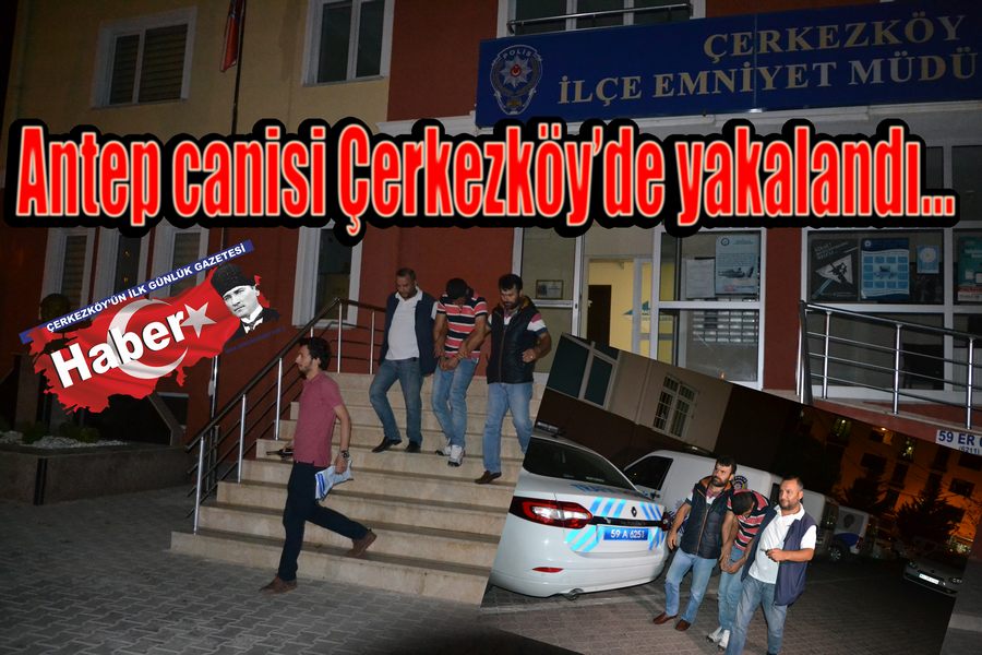 Antep canisi Çerkezköy