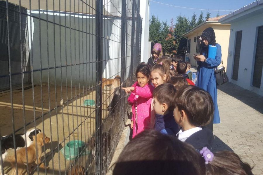 Süleymanpaşa Belediyesi, sokak hayvanlarına dikkat çeken etkinliklerini sürdürüyor