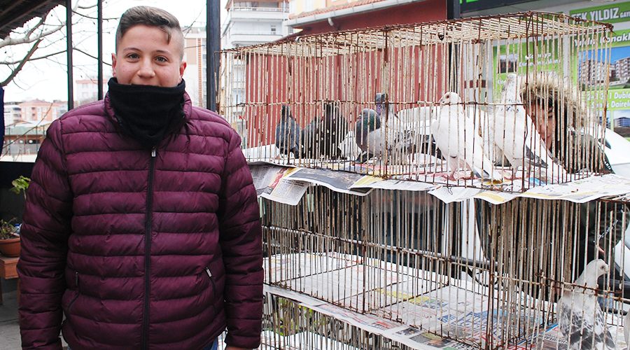 Soğuk hava kuş pazarını da etkiliyor