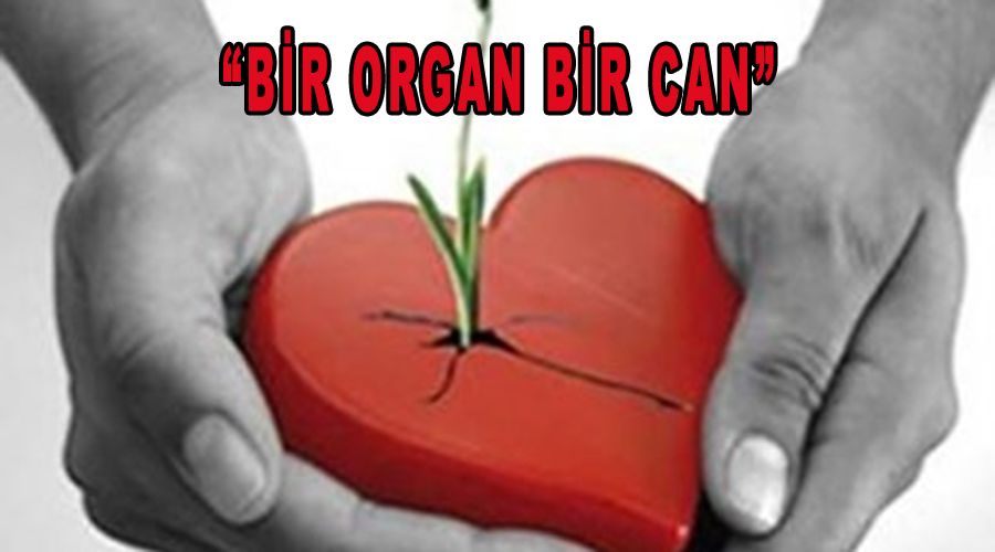 “Bir organ bir can” 