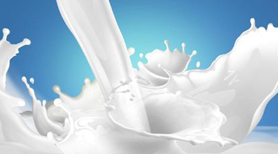  Çiğ süt destekleme icmalleri askıya çıktı