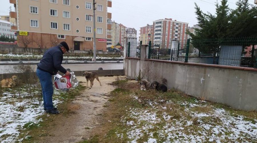 Kapaklı Belediyesi sokak hayvanlarını unutmadı