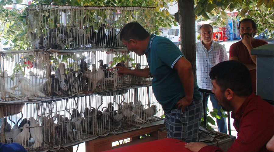 Çerkezköy kuş pazarı hareketlendi
