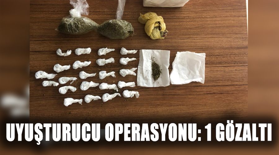 Uyuşturucu operasyonu: 1 gözaltı